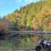 <滋賀県高島市>🍁池に映る逆さ紅葉! もみじ池