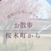 満開には早いけど｜桜木町からぐるっと歩ける範囲でお散歩へ