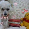 かわいいお菓子BOX　o(*^▽^*)o~♪