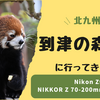 Nikon Zf撮って出しで送る北九州市、到津の森公園の魅力！！