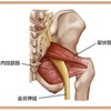 「私のこの臀部・下肢のシビレはなぜ」(その3)