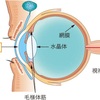 角膜とコンタクトの関係ってなに？