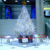 TX秋葉原駅にIntelのクリスマスツリーが出現