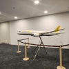【最新】ブルネイ旅行①ロイヤルブルネイ航空