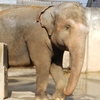 遊亀公園付属動物園