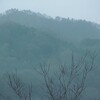危機の中の