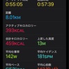 ひっす