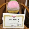 ヒーローズ・リーグ2019のまなみん賞