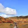 絶景！栗駒山山麓で紅葉ハイキングがおすすめ！見頃はいつ？2025年紅葉状況｜須川高原温泉から名残ヶ原と地獄釜の須川散策コース（岩手県一関市）