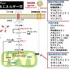 生体エネルギー学（２） 慢性疾患の治療