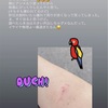 先週も今週も