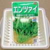 空芯菜の余り種で「スプラウト（もやし）」作りに挑戦。茹でた後の変色に気を付けましょう