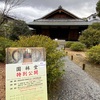 渉成園と特別公開「園林堂」ー京の冬の旅ー　（追記）渉成園🌸桜の様子🌸