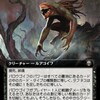 バロウゴイフについて考える(2026/5/30)