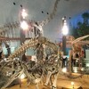 福井県立恐竜博物館へ行ってきました