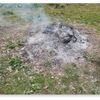 果樹の剪定枝を焼却する意味