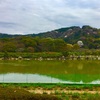南楽園に行って来ました