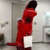 シンメ
