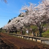 のと鉄道沿線お花見「のとさくら駅」（前編）