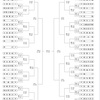 独自大会、始まりました