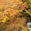 紅葉が見ごろとなった戦場ヶ原・湯滝・湯ノ湖をカメラを片手に紅葉を撮り歩く