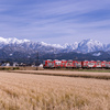 冬を走る富山もよう