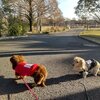 水元公園