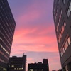 【日常のインスタ映え風景シリーズ🎶】田町駅からの夕焼け✨