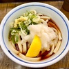 はんなりや（瑞江）おろしぶっかけ•冷＋揚げ餅