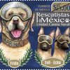 メキシコで、海軍の災害救助犬 フリーダたちの切手が発行 #19S 🇲🇽🐶 