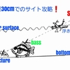 見える目の前の魚！釣れる釣れないは立ち位置とアプローチ次第！