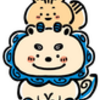 2018年　あけましておめでとうございます！