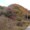 兵庫県）晩秋の妙見山。妙見の森ケーブル、リフト。紅葉。