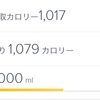 熱中症対策にfitbitアプリのこれがいい