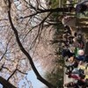 桜が咲いたということは…