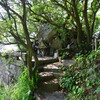 牛根の太崎観音にいってみた、桜島をのぞむ海辺の石祠