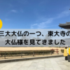 三大大仏のひとつ、世界遺産「東大寺」で大仏様を見てきました