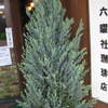 京都喫茶六曜社でモーニング
