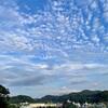 老犬の介護用品・・・令和４年の夏休み日記　２日目