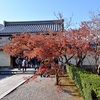 天龍寺の秋、紅葉のある光景2017。