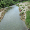 雨が降れば魚が登る