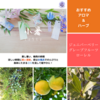 【二十四節気の香り養生】小暑（しょうしょ）：2025年は7月7日～過ごし方とイメージする香り