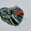絵の練習　透明水彩