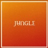 【今日の一曲】JUNGLE - Candle Flame (Ft. Erick The Architect)