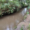 バースデー週末旅　⑦カッパと芭蕉の奥の細道の足跡を追う『夏草や兵共が夢の跡』