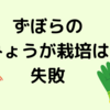 ずぼらのみょうが栽培は失敗