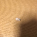 ナルコレプシー経過日記
