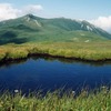 池の風景