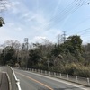 東谷山のシデコブシ