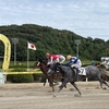 この４戦全く同じ競馬内容で追い込んでの５着も、、、